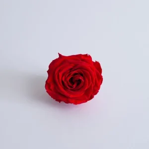 Trandafir Criogenat Premium Red – Verdissimo (Ø 7,5–8,5 cm) din material nedefinit, decor elegant și cadou ideal pentru sărbători.