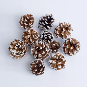 Set 10 conuri naturale înzăpezite, 4–6 cm din material nedefinit, decor elegant și cadou ideal pentru sărbători.
