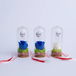 Mărțișor trandafir criogenat albastru în cupolă de sticlă din trandafir criogenat natural, sticlă, plută, mușchi natural, șnur tradițional, decor elegant și cadou ideal pentru sărbători.