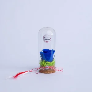Mărțișor trandafir criogenat albastru în cupolă de sticlă din trandafir criogenat natural, sticlă, plută, mușchi natural, șnur tradițional, decor elegant și cadou ideal pentru sărbători.